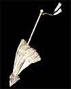 Parapluie