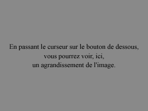 En passant le curseur sur le bouton de droite,vous pourrez voir, ici, un agrandissement de l'image.