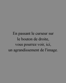 En passant le curseur sur le bouton de droite,vous pourrez voir, ici, un agrandissement de l'image.